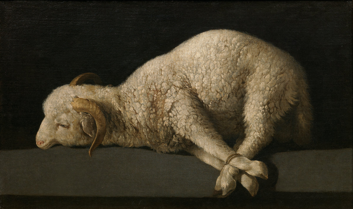 Agnus Dei by Francisco de Zurbarán, a bound white lamb on a grey ledge against a black background, cover image for Soulkeeper Journal's Louvre Zurbarán retrospective commentary