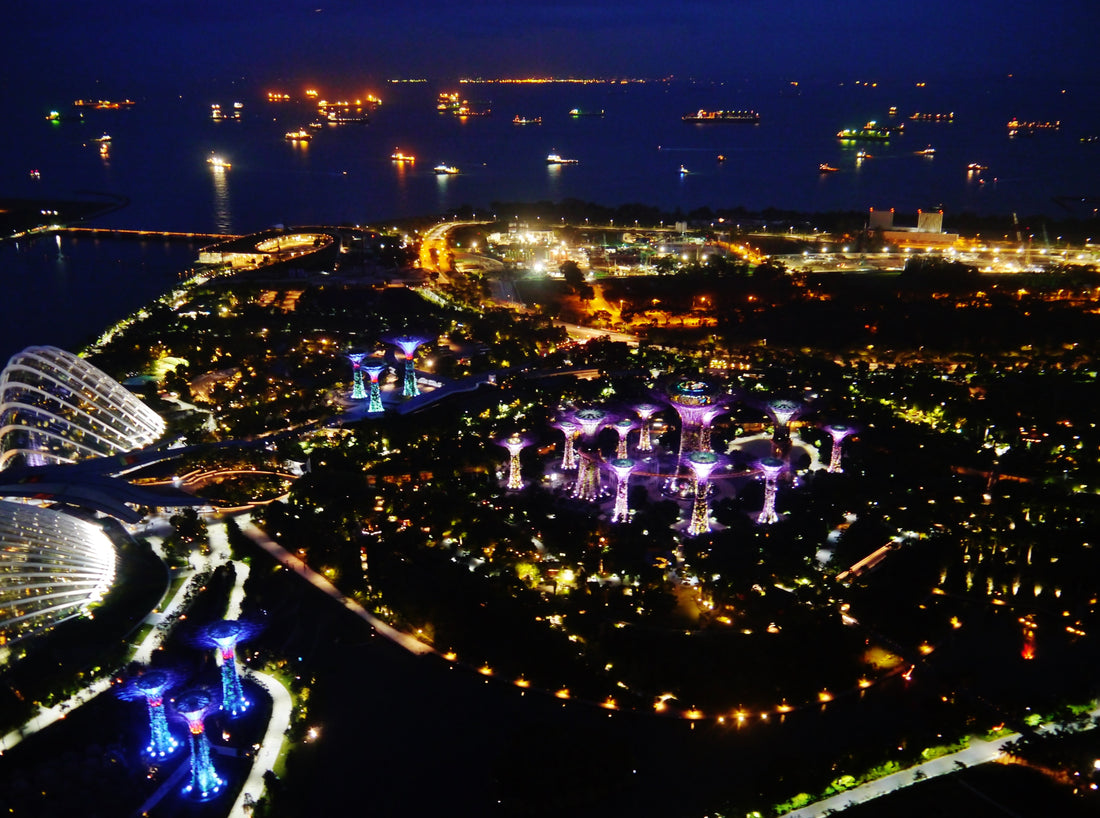 Gardens by the Bay's illuminated Supertree Grove at night in Singapore — nature and technology fused through structure and light