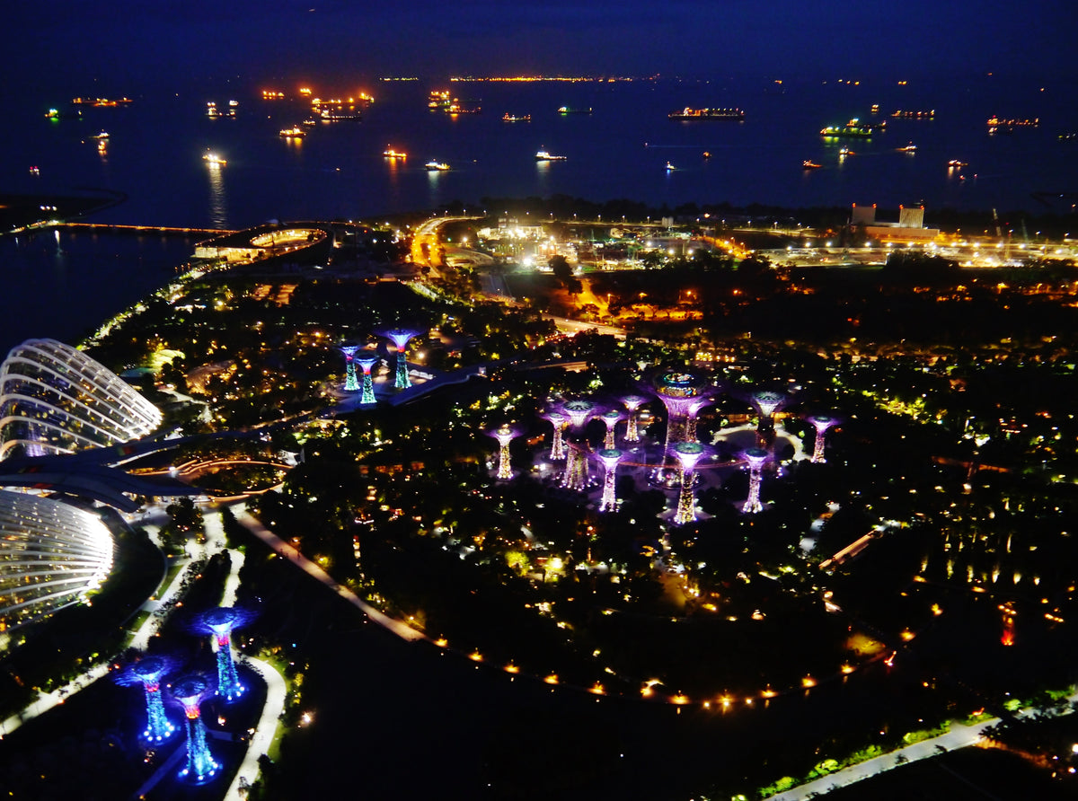 Gardens by the Bay's illuminated Supertree Grove at night in Singapore — nature and technology fused through structure and light
